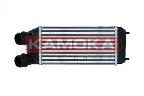 Charge Air Cooler KAMOKA 7750069