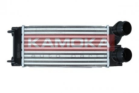 Charge Air Cooler KAMOKA 7750071