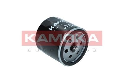 Масляний фільтр KAMOKA F117501