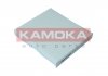 Фільтр повітря салону KAMOKA F420301 (фото 1)