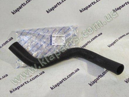 Фото автозапчастини патрубок радіатора охолодження нижній Rio 05 KAP (KoreaAutoParts) K06HOSSD00203