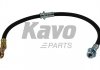 Фото автозапчастини шланг гальмівний KAVO PARTS BBH6586 (фото 1)