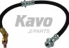 Фото автозапчастини шланг гальмівний KAVO PARTS BBH6587 (фото 1)