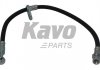 Фото автозапчастини шланг гальмівний KAVO PARTS BBH8017 (фото 1)