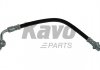 Фото автозапчастини шланг гальмівний KAVO PARTS BBH9246 (фото 1)