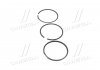 Поршневые кольца (93,66мм (STD) 2-2-4) FORD FORD TRANSIT 4AB-4FA 10.83-08.94 KOLBENSCHMIDT 800009810000 (фото 2)