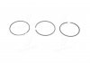 Кольца поршневые VAG 81,00 2,4i 30V 1,5x1,5x2 (пр-во) KOLBENSCHMIDT 800045610000 (фото 1)