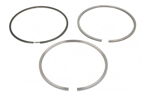 Поршневые кольца (123мм (STD) 3,5-2,5-3) DAF CF, XF 106 MX-11210-MX-11320 10.12- KOLBENSCHMIDT 800108010000