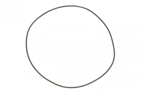 Уплотняющее кольцо гильзы цилиндра (138x142,2x2,1мм) MAN E2000 VAN HOOL 9, A, EOS, T LEMA 122790 (фото 1)