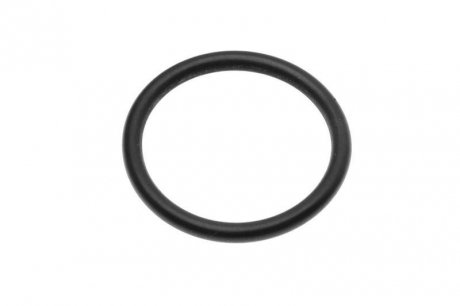 Кругла прокладка LEMA 123095 (фото 1)