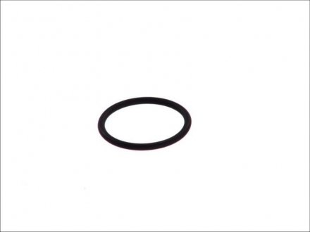Уплотнительное кольцо форсунки Renault PREMIUM MENAGER d29xd31.5x2.5mm LEMA 123115 (фото 1)