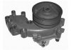 Фото автозапчасти водяной насос ALFA ROMEO 145, 146, 155; FIAT CROMA, TEMPRA, TEMPRA SW, TIPO; LANCIA DEDRA, DEDRA SW 1.9D 08.87-07.99 MAGNETI MARELLI 352316170296 (фото 1)