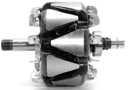 Ротор генератора 160417 Daf Mario Ghibaudi A/1195 (фото 1)
