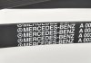 Пас двигуна привідний MERCEDES-BENZ 0039937296 (фото 2)