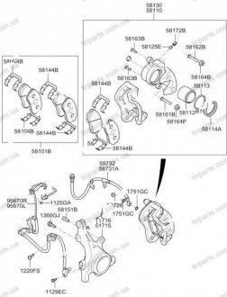 Фото автозапчастини шланг тормозной передний правый Kia Carens 06- MOBIS 587321D000