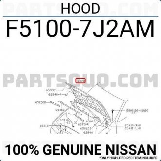 Капот двигателя NISSAN F51007J2AM (фото 1)