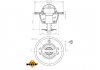 Термостат системи охолодження (82°C) NISSAN PRIMERA, X-TRAIL; RENAULT KOLEOS I 2.0/2.5 07.01- NRF 725180 (фото 5)