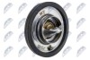 Фото автозапчасти термостат | chrysler 300m, sebring, ford capri iii, escort i, escort ii, escort iv, suzuki vitara 88-, land rover defender 90-, discovery 89- NTY CTMCH032 (фото 1)