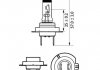 Фото автозапчастини лампочка H7 Premium 12V PX26d PHILIPS 40593760 (фото 3)