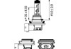 Фото автозапчастини автомобильная лампа H8 12V PGJ19-1 PHILIPS 47582430 (фото 2)
