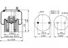 Ресора пневматична PHOENIX 1DK21A-3 (фото 1)