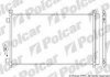 Радиатор кондиционера Nissan X-Trial, 14- (921004BB0A, 921004BA0A, 921005HA0A, 921004CL0A) Polcar 27X1K8C2S (фото 1)