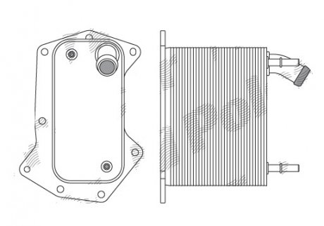 Фото автозапчасти радиатор масла RANGE ROVER SPORT (6H4Q6C711CF) Polcar 4334L8-2