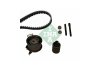 Фото автозапчастини набір ременя ГРМ SEAT IBIZA IV (6L1) (038 198 119 A, 038 198 119 C, 038198119C, 038198119C, 038198119C, 038198119C, 038198119A, 038198119A, 038198119A, 038198119A) Polcar 530020110 (фото 1)