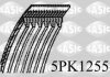 Фото автозапчастини поликлиновий ремінь MERCEDES A (W168), VANEO (414); DAEWOO ESPERO; HYUNDAI I10; KIA PICANTO; OPEL OMEGA B, SIGNUM, VECTRA C, VECTRA C GTS, ZAFIRA A; PEUGEOT PARTNER 1.0-2.2 03.94- SASIC 5PK1255 (фото 1)