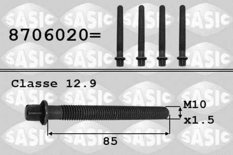 Болт кріплення шестерни коленчатого вала SASIC 8706020 (фото 1)