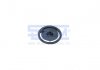 Пыльник пальца рессоры пластик Renault (5010051192) SEM LASTIK 10865 (фото 1)
