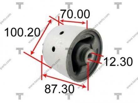 Фото автозапчастини опора двигуна TENACITY AWSTO1156