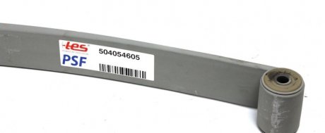 Рессора задняя коренная Iveco Daily III 99-07, (1/24mm) (80/750/750) TES 50405460519 Z/T