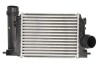 Фото автозапчастини інтеркулер NISSAN QASHQAI II, X-TRAIL; RENAULT GRAND SCENIC IV, KADJAR, MEGANE IV, SCENIC IV, TALISMAN 1.2/1.5D/1.6 11.13- THERMOTEC DA1006TT (фото 1)