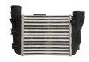 Інтеркулер AUDI A4 B6, A4 B7; SEAT EXEO, EXEO ST 1.8 11.00-05.10 THERMOTEC DAA025TT (фото 1)