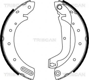 Колодки тормозные задние барабанные TRISCAN 810014596 (фото 1)