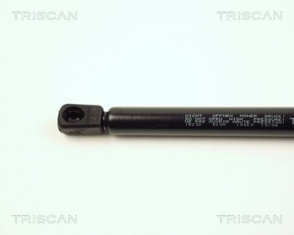 Амортизатор багажника TRISCAN 871016232 (фото 1)