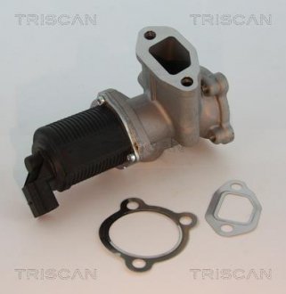 Клапан EGR FIAT 1.3JTD 04- TRISCAN 881310003