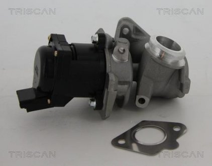 Клапан EGR Peugeot 1.6Hdi TRISCAN 881310010 (фото 1)