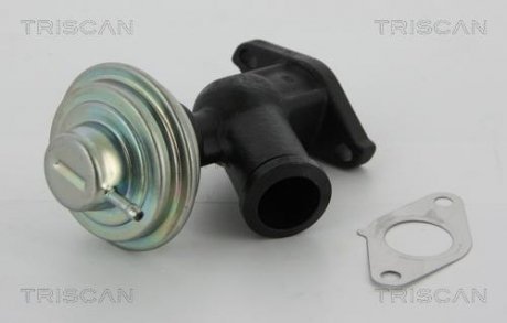 Клапан рециркуляції відпрацьованих газів Fiat/Ford/PSA 2.0Jtd/2.0Tdci/2.0Hdi TRISCAN 881310011