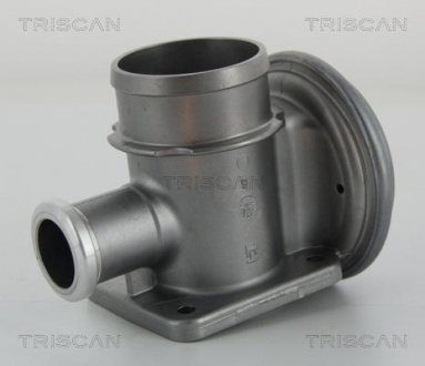Клапан рецеркуляції відпрацьованих газів TRISCAN 881311004 (фото 1)