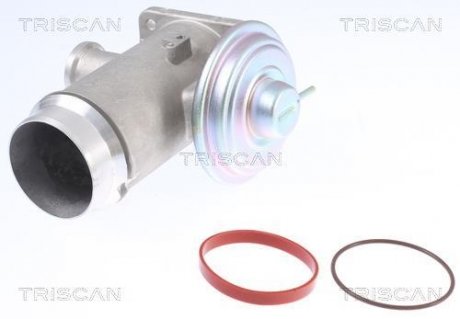 Клапан рецеркуляції відпрацьованих газів TRISCAN 881311102