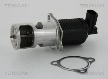 Клапан рецеркуляції відпрацьованих газів TRISCAN 881324055