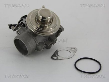 Клапан рецеркуляції відпрацьованих газів TRISCAN 881329001 (фото 1)