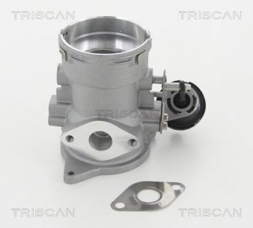 Клапан AGR VW T5 2.5TDI 03- TRISCAN 881329056 (фото 1)