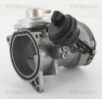 Клапан рецеркуляції відпрацьованих газів TRISCAN 881329070 (фото 1)