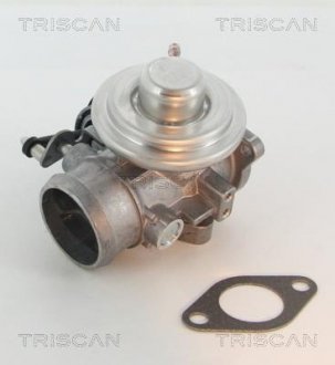 Клапан рецеркуляції відпрацьованих газів TRISCAN 881329201