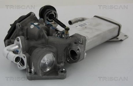 Клапан з радіатором AGR системи EGR VW T5 2.0TDI 09- TRISCAN 881329303 (фото 1)