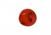 Лампа указателя поворота сторона левая/правая (цвет стекла: оранжевый) MAN TGA 06.99- TRUCKLIGHT CL-MA001 (фото 4)
