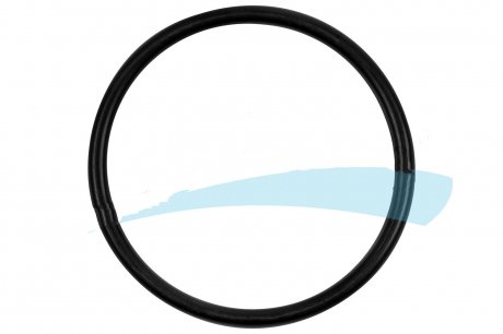 Уплотняющее кольцо насоса топлива SCANIA P/G/R/T d44.2x3mm TZERLI 0804670/Z (фото 1)